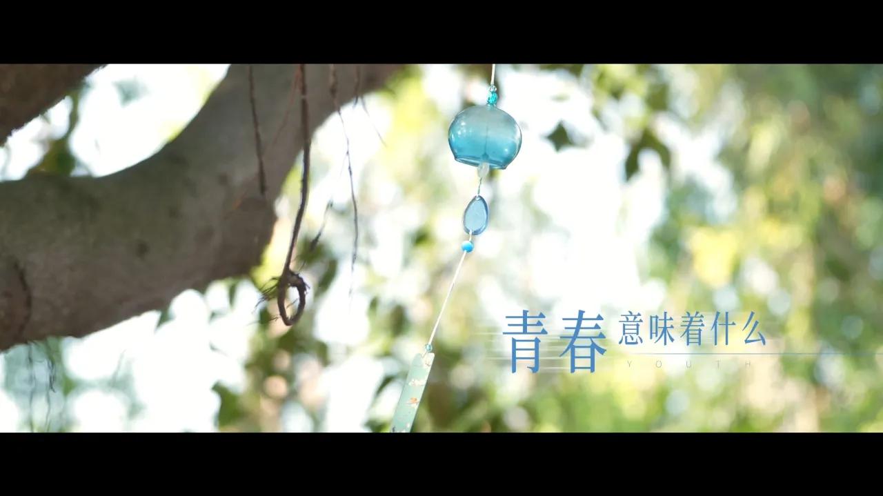 海外华人必看！一招解除微博影视综艺地区限制，再也不用担心卡顿黑屏