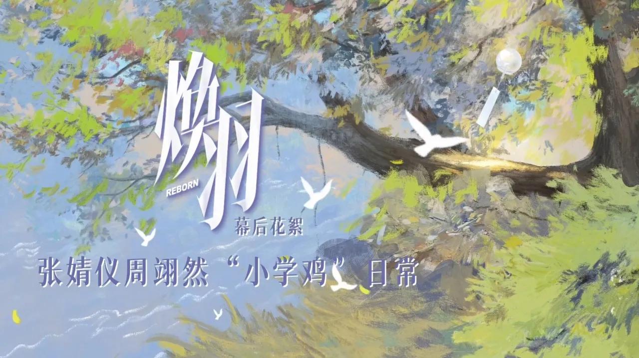 海外华人必看！3招破解微博视频地区限制，轻松追《焕羽》张婧仪周翊然爆笑互动