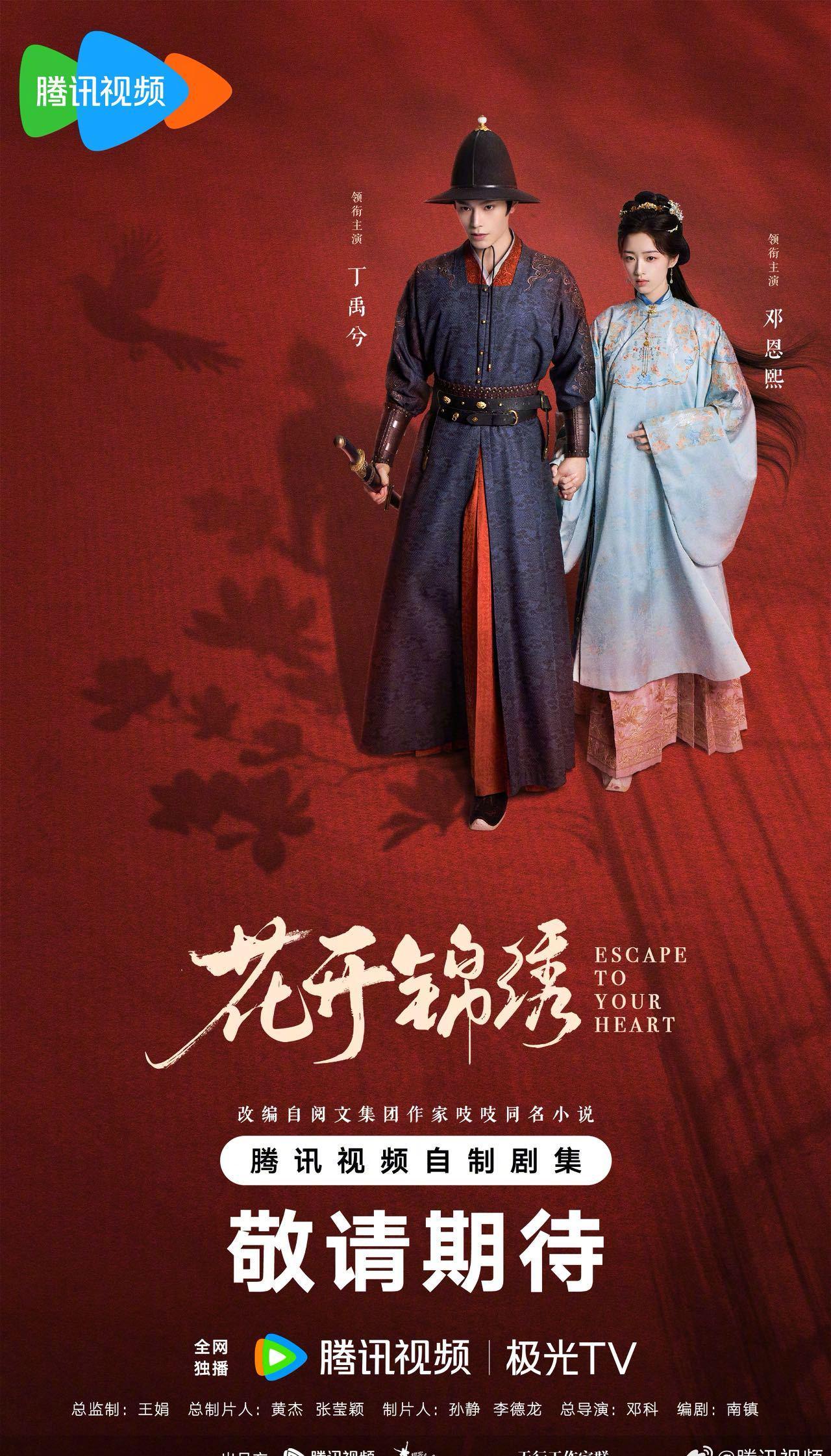 海外华人必看！一招解除《花开锦绣》地区限制，追剧不再卡顿