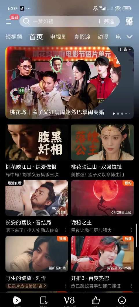 海外华人如何解除地区限制？《桃花映江山》追剧攻略来了！