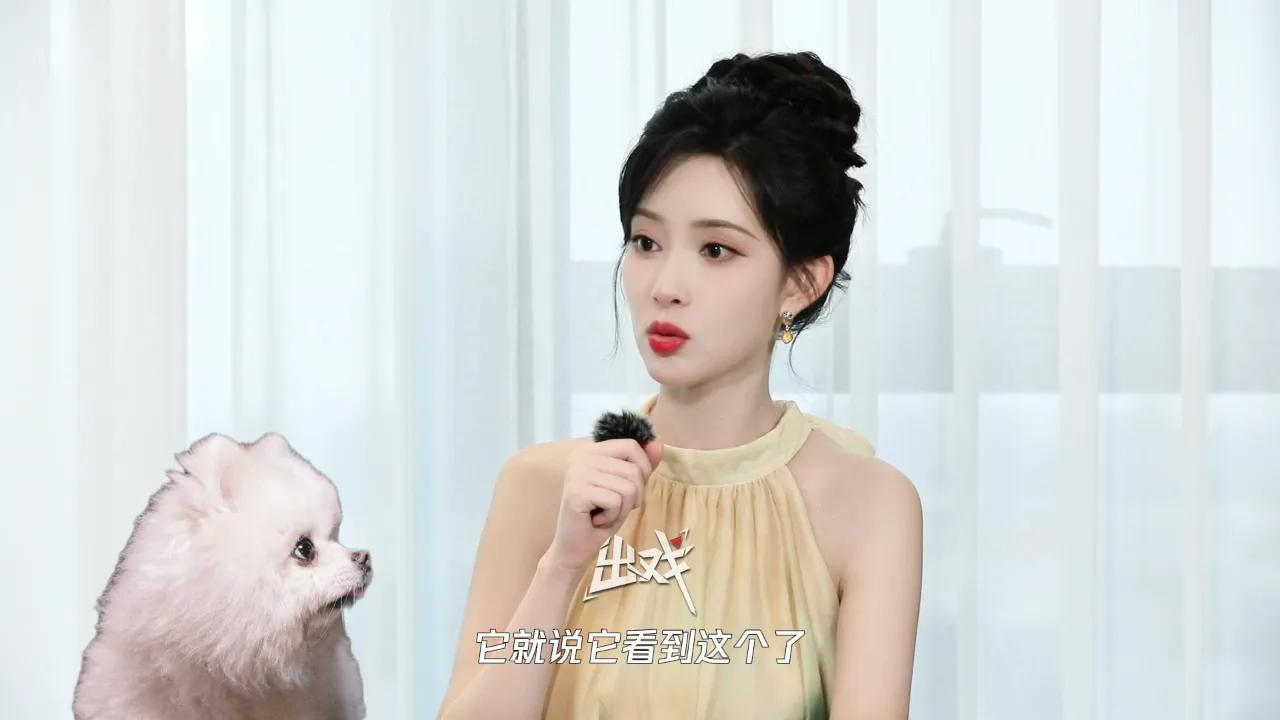 海外华人必看！如何解除地区限制追国内综艺？孟子义狗狗塌房热搜背后的欢乐故事
