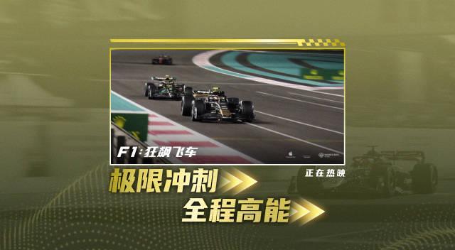 海外华人看不了《F1狂飙飞车》？3个亲测有效的方法，让你和国内同步追新片