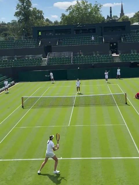 海外华人如何畅玩原神？郑钦文温网征程引燃体育迷热情