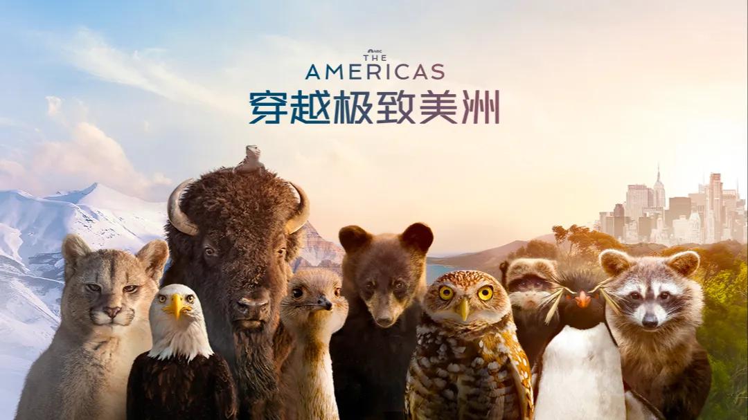 出国旅游看不了腾讯视频？3招教你解除地区限制，追《穿越极致美洲》无压力