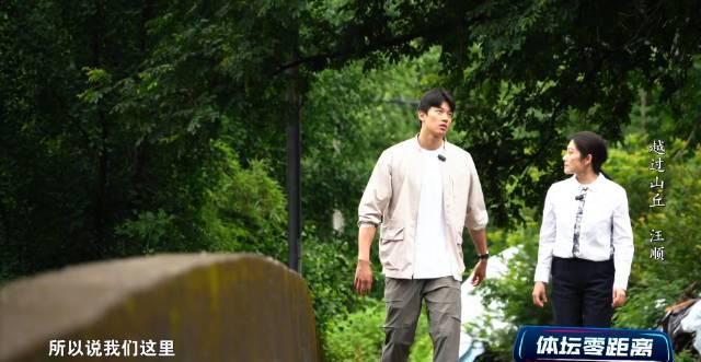 海外华人看不了国内影视剧？汪顺的乡愁让我想起那些年错过的热播剧