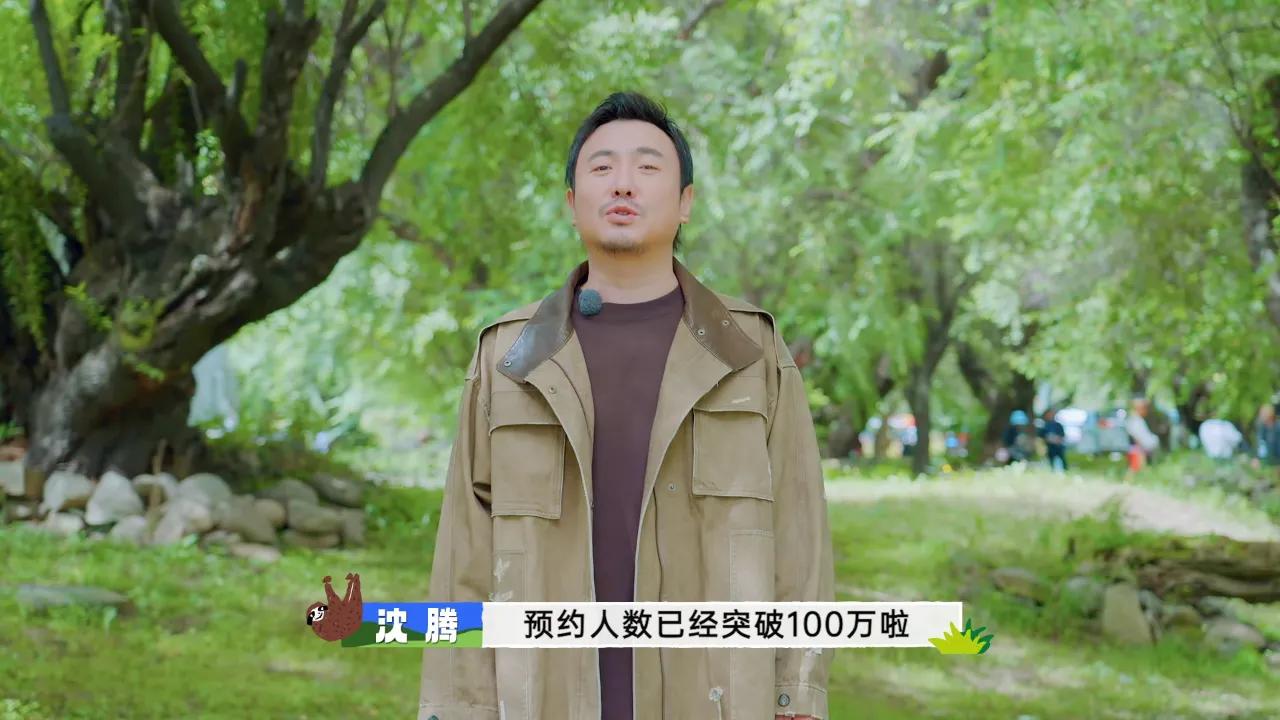 海外华人必看！一招解决《现在就出发》等国内综艺地区限制问题