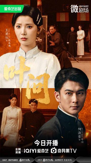 海外华人必看！一招解除爱奇艺地区限制，新版《叶问》追剧无忧