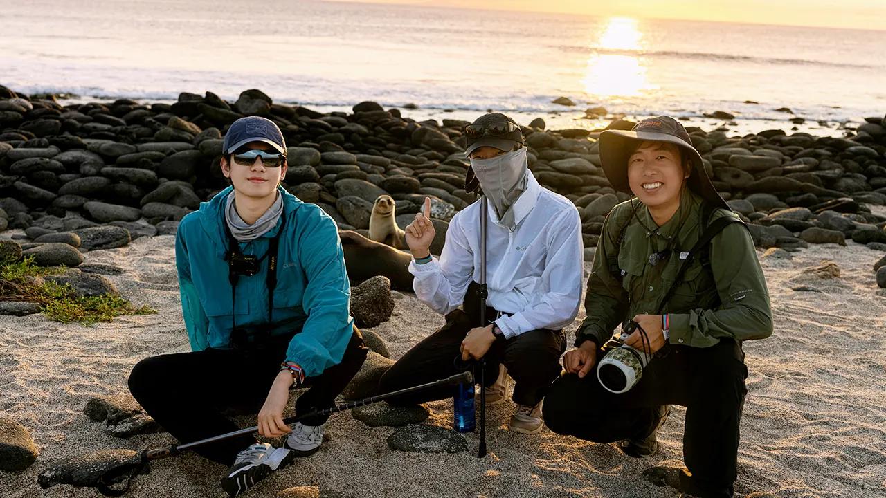 海外华人必看！轻松解除国内影视限制，告别《这里没信号》播放难题