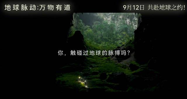《地球脉动：万物有道》9月12日上映！海外如何解锁微博预售及国内流媒体？
