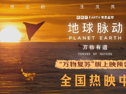海外华人看不了《地球脉动》新片？3招破解地区限制，轻松追剧无压力！