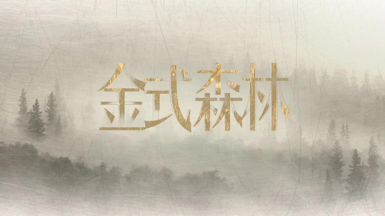 海外华人必看！轻松解除大陆影视限制，畅享《金式森林》等热门剧集