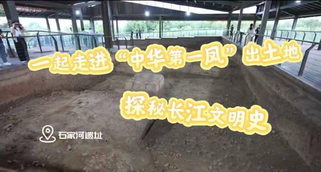 海外华人必看！如何突破地区限制观看《走进中华第一凤出土地》等国内文化纪录片