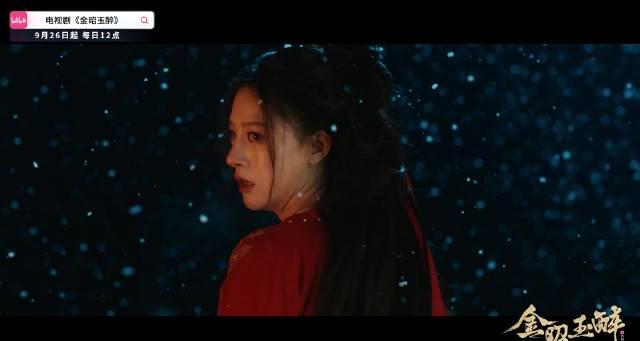 海外华人必看！3步解决国内影视限制，终于能追《金昭玉醉》了