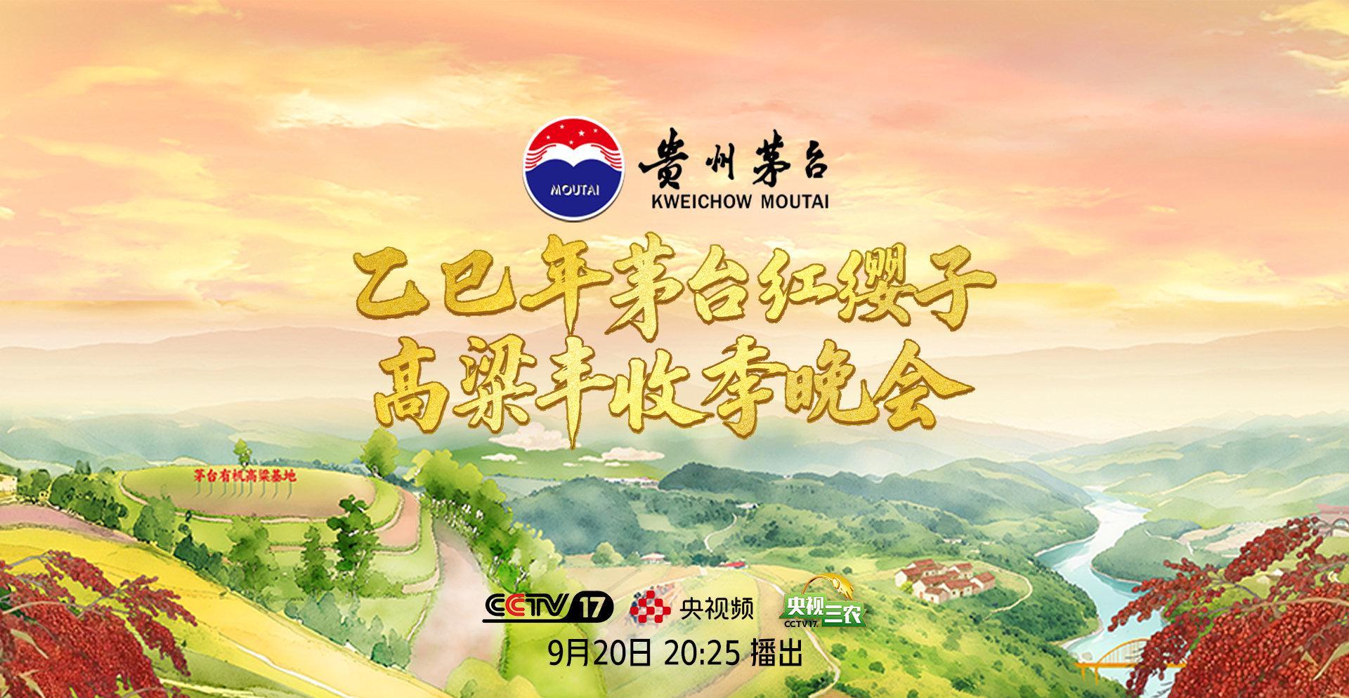 海外华人如何解锁茅台丰收晚会？3招解决地区限制烦恼