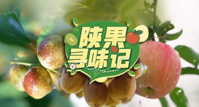 海外华人如何破解地区限制？3招解锁国内热门综艺与陕西水果甜蜜直播