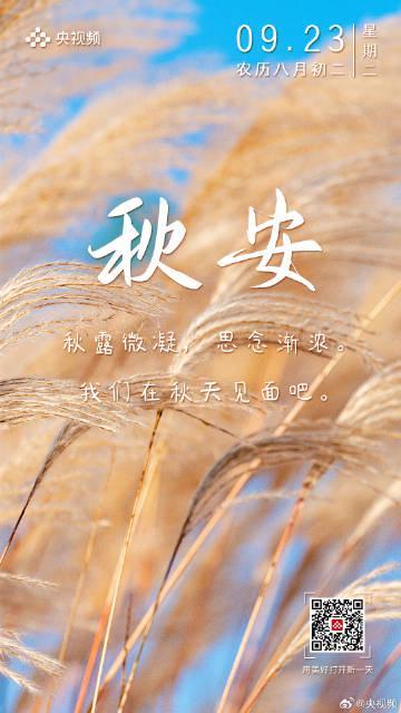 海外华人追剧难？3招教你轻松解锁国内影视综艺！