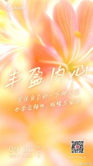 海外华人必看！3招解决视频卡顿问题，轻松追剧不延迟