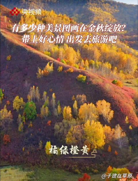 海外华人必看！手把手教你解锁国内热门旅游节目，中秋国庆不错过朱广权诗意解说
