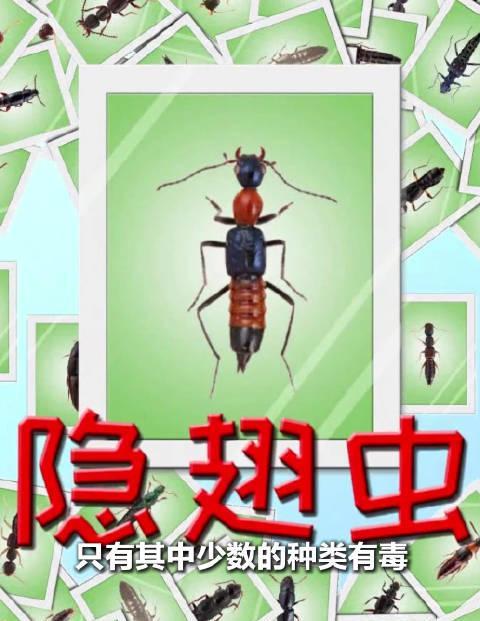 海外追剧党必看！3招教你破解地区限制，轻松看遍国内热门综艺