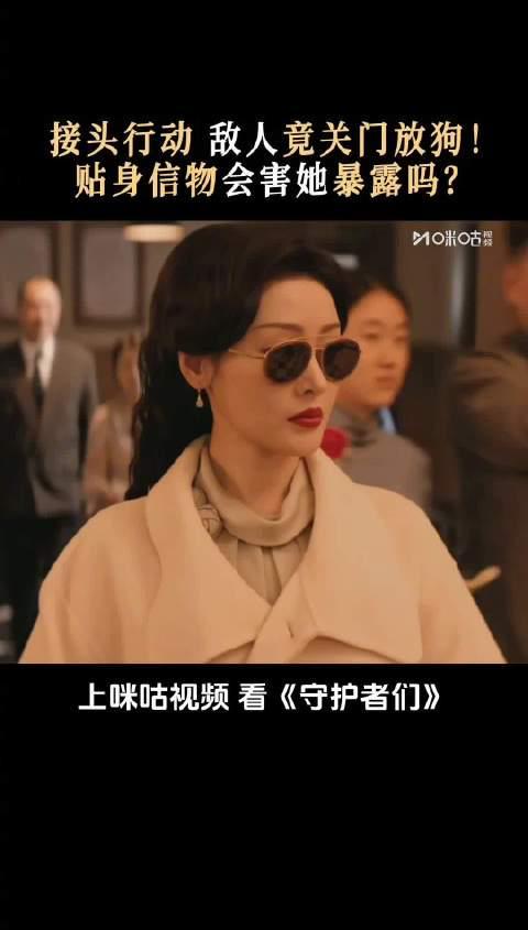 海外华人看不了《守护者们》？教你解锁汪汪队精彩冒险