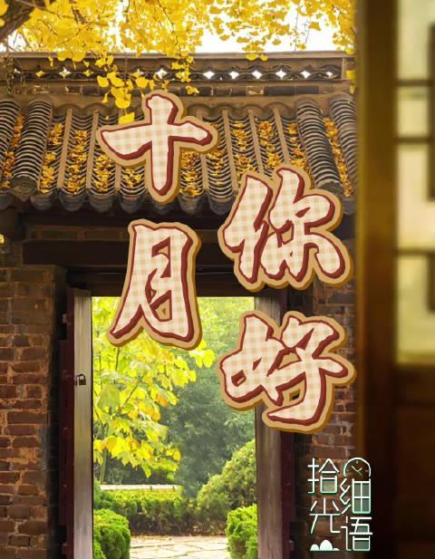 海外党看不了国庆直播？三招教你轻松解锁央视频，海外华人必看攻略