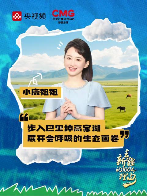 海外华人必看：轻松突破地区限制，畅享国内热门影视音乐综艺节目