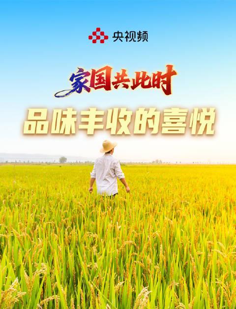海外党看不了央视频？3招教你解锁国庆丰收大片，治愈乡愁！