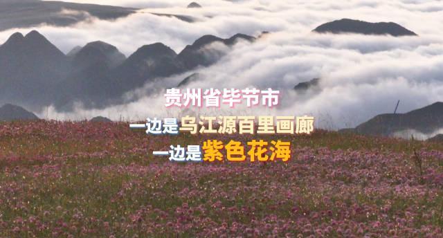 海外华人必看：轻松解锁国内影视综艺限制，告别卡顿畅享毕节美景