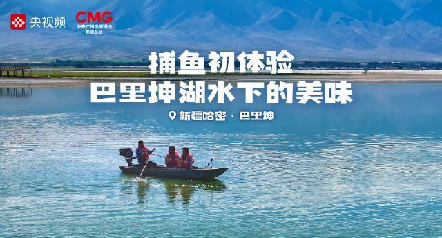 海外华人必看！三步教你解锁国内影视资源，告别地区限制烦恼