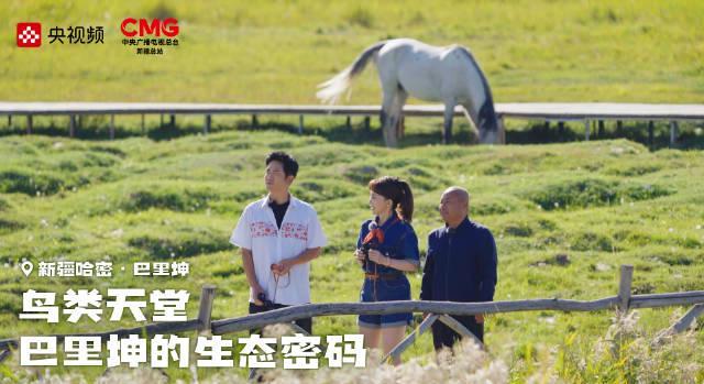 新疆哈密巴里坤草原湿地成鸟类天堂！海外华人如何突破地区限制观看央视频直播？