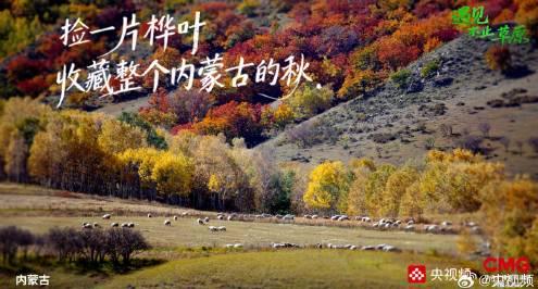 中秋去内蒙古旅游攻略：解锁草原治愈之旅，体验别样团圆风情