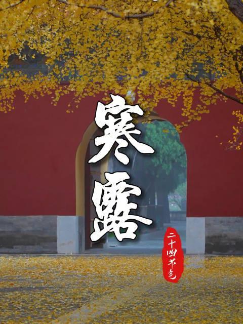 寒露时节暖心指南：海外华人如何解锁4K节气视频，感受秋日温柔