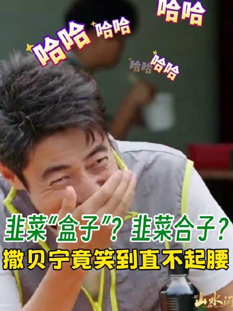 撒贝宁被四川韭菜盒子逗乐，海外华人如何破解视频地区限制看完整节目