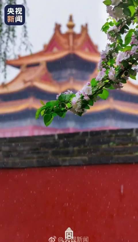 海外华人追剧遇阻？故宫四季美景背后的文化乡愁与解决方案