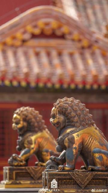 故宫迎来百年华诞！这些绝美艺术照让海外游子瞬间破防，中式美学惊艳世界