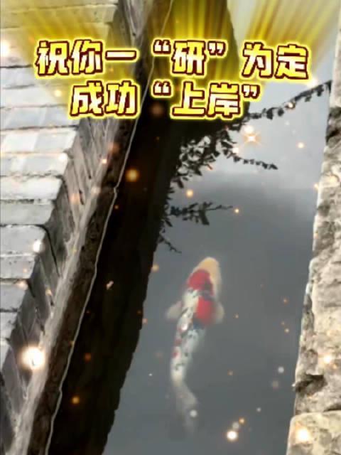 海外华人如何解除地区限制？3招搞定考研直播与国内影音资源