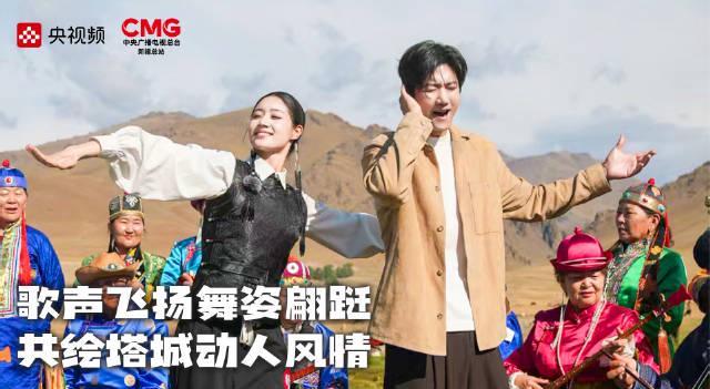 海外华人必看：轻松解决国内影视音乐平台地区限制的实用技巧分享