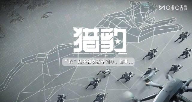 海外华人追剧不再愁！手把手教你解锁大陆影视限制，畅享《猎豹》等热门内容