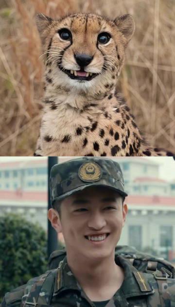 猎豹F4史彭元抽象头像引爆笑点！《猎豹》四人组戏里戏外反差萌太圈粉