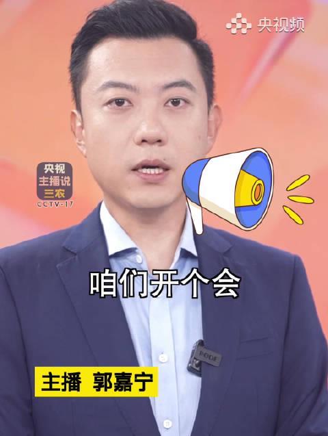 海外华人追剧听歌不再愁！这些实用技巧帮你轻松突破地区限制