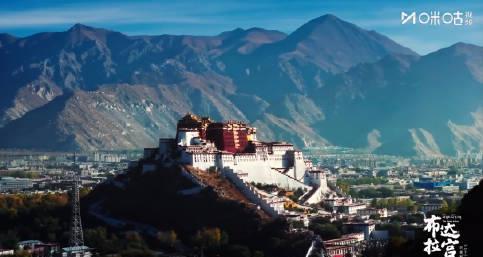 海外华人必看！布达拉宫神曲刷屏，每一帧都美到窒息，教你如何畅享文化盛宴