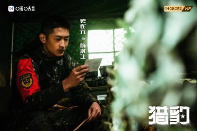 海外华人追剧困扰多？三招教你破解地区限制，畅享国内热门影视内容