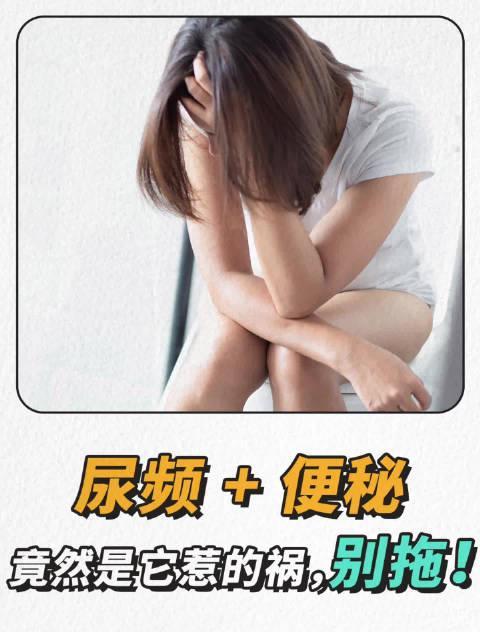 海外党看不了国内综艺？3招教你破解地域限制，健康资讯不错过！