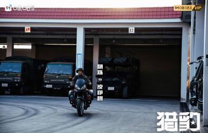 《猎豹》震撼开播！陈汉生杨烁领衔演绎热血警魂，海外华人追剧攻略看这里