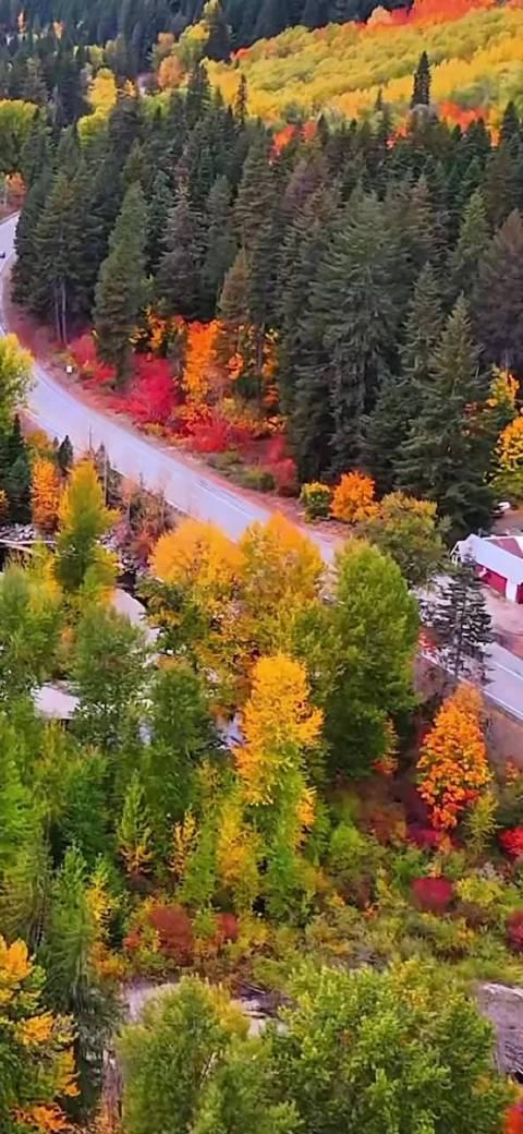 北京秋色转瞬即逝！教你抓住短暂美景的拍摄攻略