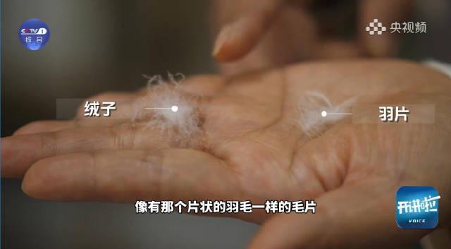 羽绒服选购全攻略：别再被充绒量忽悠了，这些才是保暖的关键因素