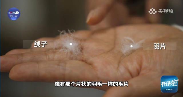 海外追剧卡成PPT？三招教你解锁国内影视资源，留学生都收藏了！