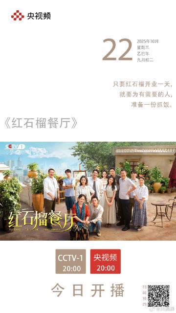 海外华人追剧遇阻？红石榴餐厅暖心开播却因地区限制无法观看的解决方案