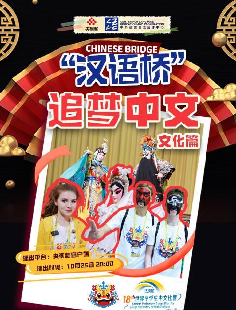 海外追《汉语桥》总卡顿？3招教你秒解地区限制，畅享文化盛宴！