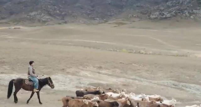 海外党福音：3招教你解锁《乘着大巴看中国》，在异国他乡也能策马奔腾！